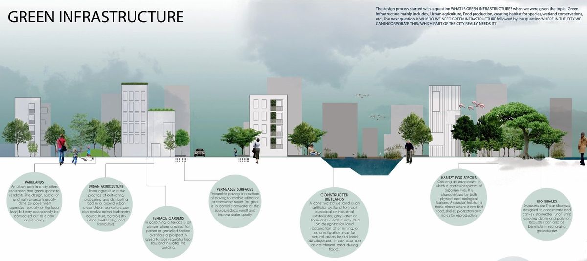 Green infrastructure concept section with parklands, urban agriculture, permeable surfaces, wetlands, habitat and bioswales