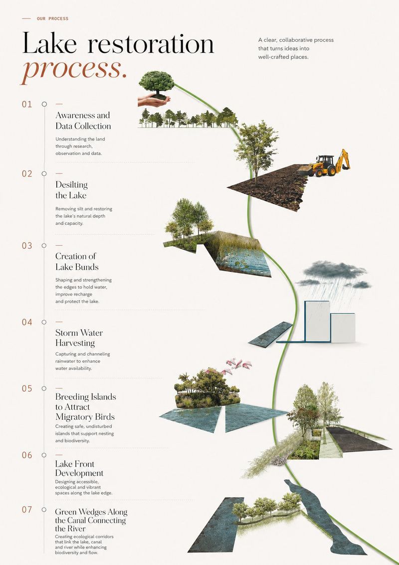 Lake restoration process diagram