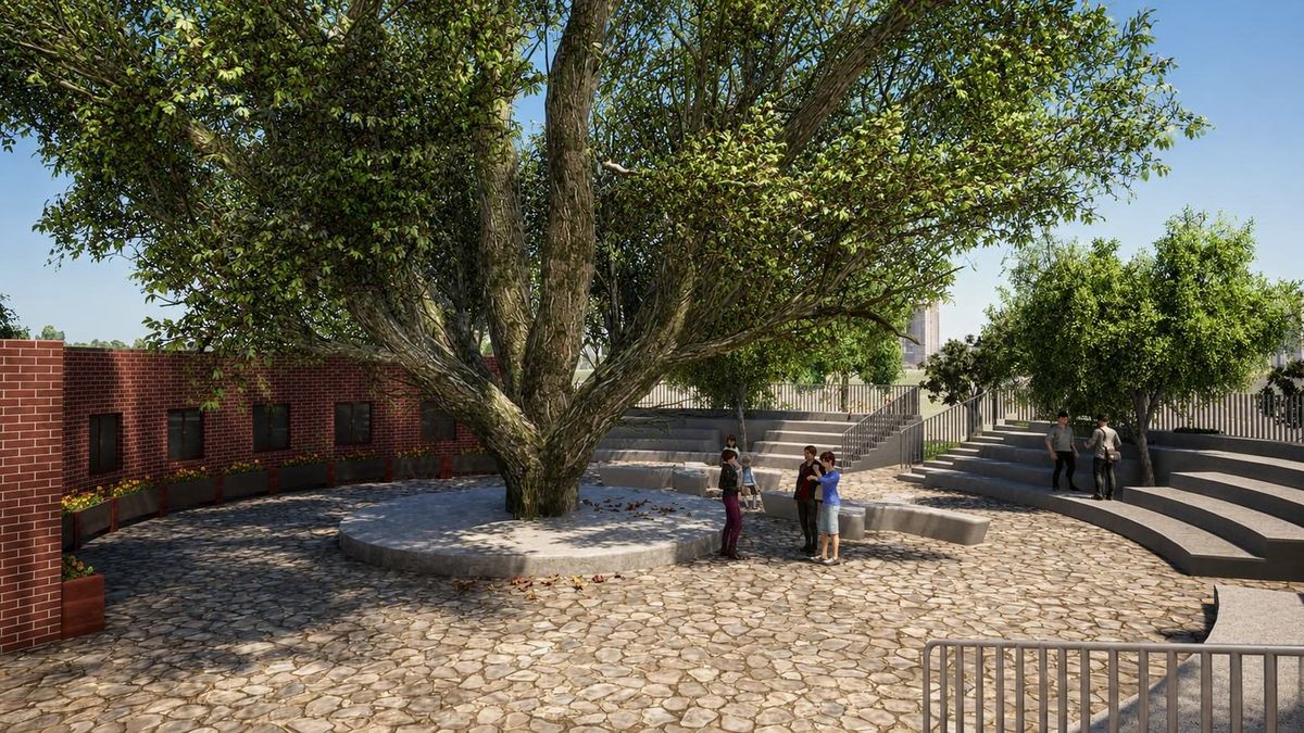 Library tree court with outdoor seating and open-air theatre steps